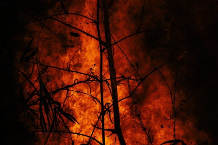 Daily Devotional February 2nd, 2020