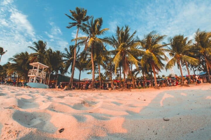 Summer Lovin' Block Party
